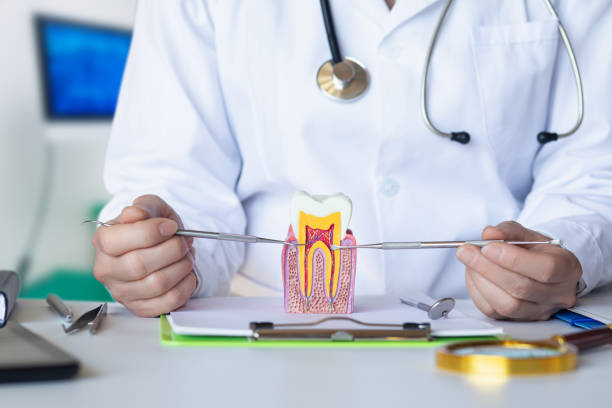 Best Broken or Cracked Tooth Emergency Dentist in Jarrell, TX